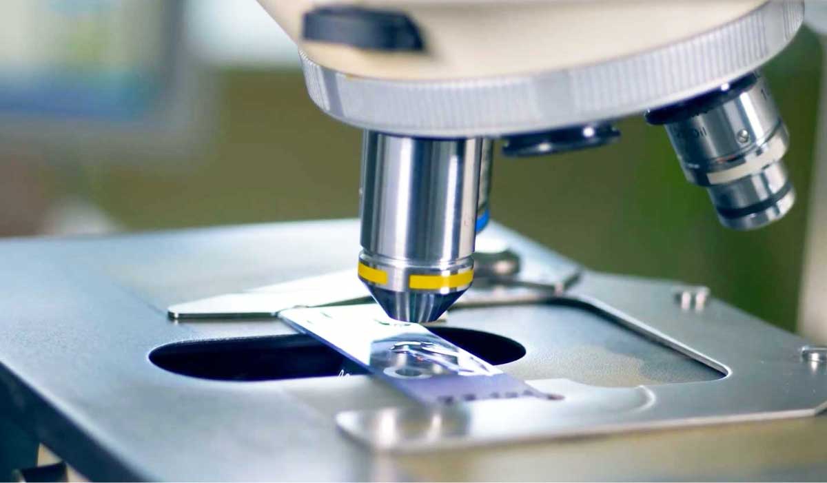 microscopio con muestras en el laboratorio