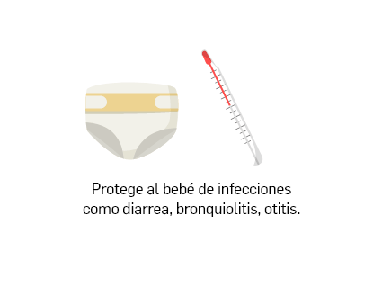 Protege al bebé de infecciones como diarrea, bronquiolitis, otitis. Previene enfermedades como asma, alergias y síndrome de muerte súbita.
        Favorece un adecuado crecimiento y desarrollo.Crea vínculos profundos entre madre e hijo. Protege a la madre que amamanta de anemia, depresión postparto, cáncer de mamas y ovarios.