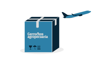 dibujo de un avión, que representa exportación