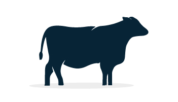 dibujo que representa ganado