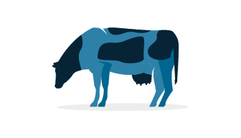 dibujo que representa una vaca lechera